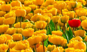 15 Reasons to Love Spring