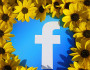 7 Reasons Why Confession Pages on Facebook are Dangerous