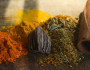9 Wonderful Things Indians Have Given to the World