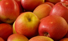 6 Foods that Fight Allergies