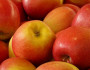 6 Foods that Fight Allergies