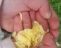 6 Ways to Teach Your Child to Be Environmentally Conscious