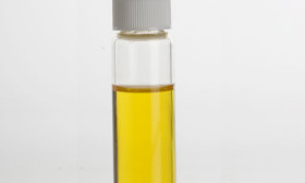 4 Health Benefits of Wheat Germ Oil