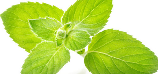 health-benefits-of-mint-leaves