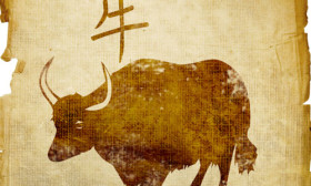 7 Things to Know About the Chinese Zodiac Sign Ox