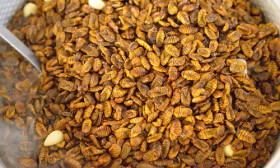 9 Unusual Foods to Try