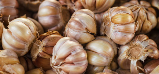 benefits-of-garlic-supplements