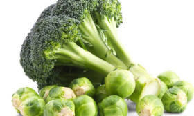 5 Foods that Help You Memorize Better