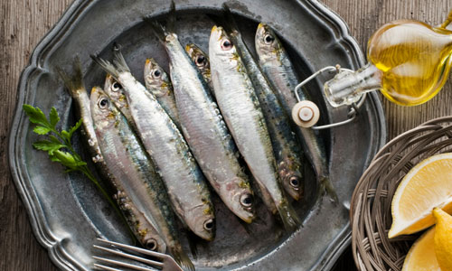 fish