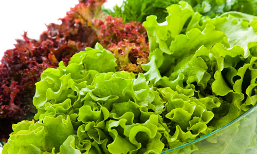 Green leafy vegetable