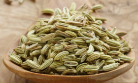 7 Health Benefits of Fennel