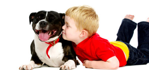 things-your-dog-can-teach-your-child