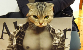 Don’t Miss These 10 Animals Doing Human Things