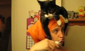 No One Believed That This Girl’s Cat Would Do This. Well, She Proved Them Wrong!