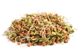 10 Super Reasons to Eat Sprouts