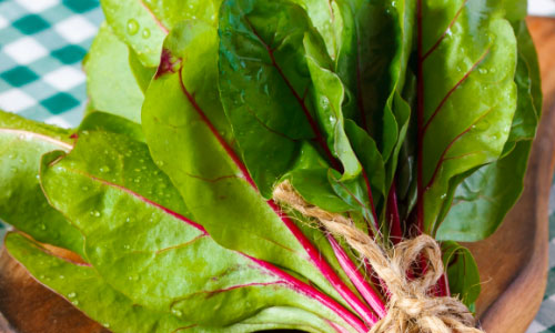 Swiss Chard