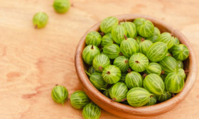 Top 18 Fruits for Diabetics