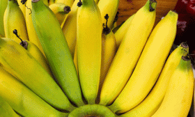 6 Foods that will Boost Your Fertility