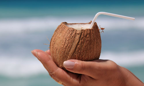 Coconut