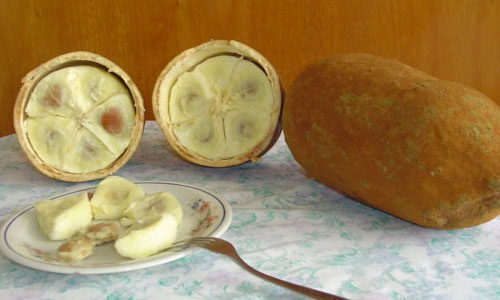 Cupuacu