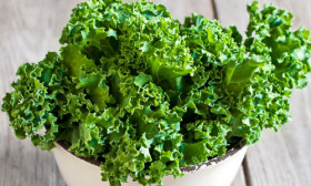10 Rare Super Foods to Boost Your Health