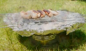 Did You Know You Could Make A Barbeque With A Tin Can? This Is So Cool.