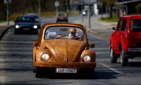 This Is No Ordinary Beetle. You Will Not Believe Your Eyes When Takee A Closer View.